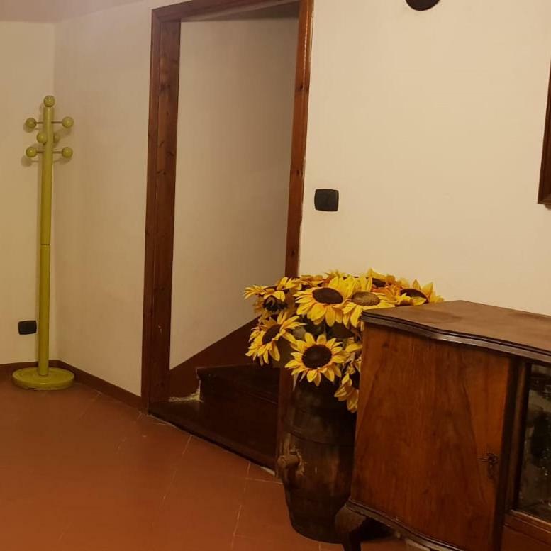 Villa Casa Luigina à Vezzola Extérieur photo